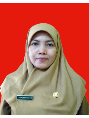ATIN P